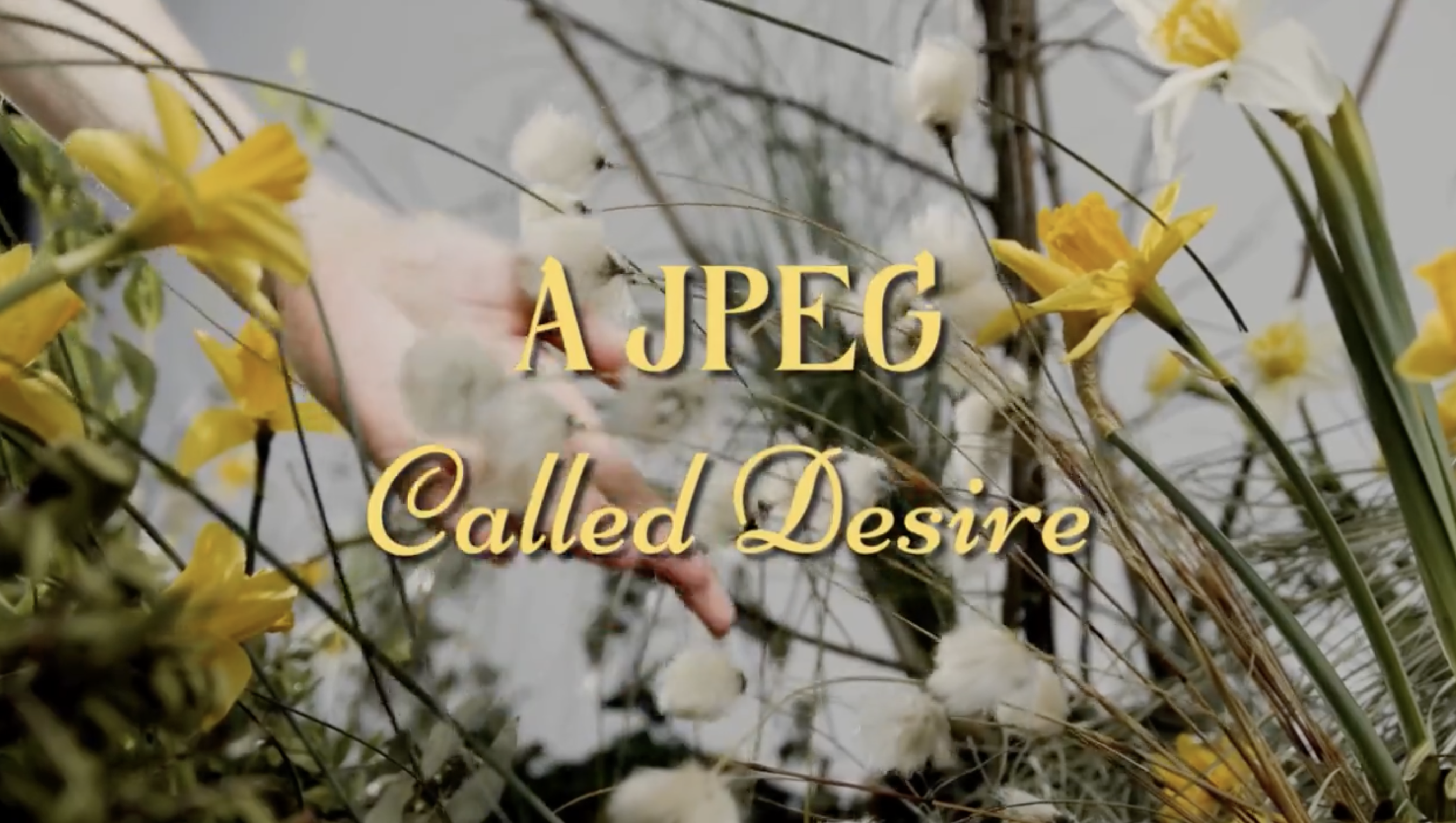 THE STORY OF BEING HUMAN: “A JPEG CALLED DESIRE”